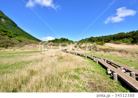 くじゅう雨ヶ池越1358ｍ　雨ヶ池湿原　阿蘇くじゅう国立公園 54512388
