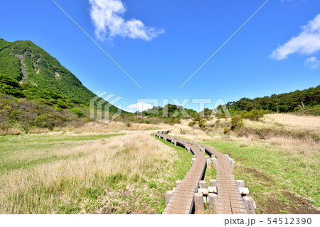 くじゅう雨ヶ池越1358ｍ　雨ヶ池湿原　阿蘇くじゅう国立公園 54512390
