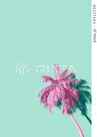 Palmtree against turquoise wall render 54512539