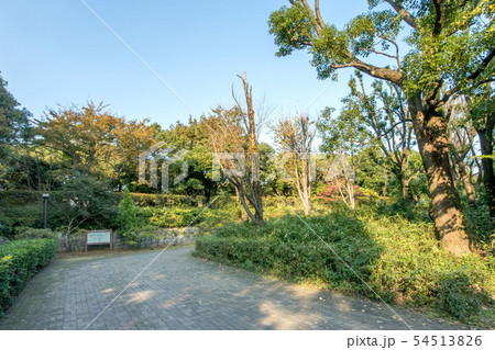 東京都立東京港野鳥公園 東京都立東京港野鳥公園 54513826