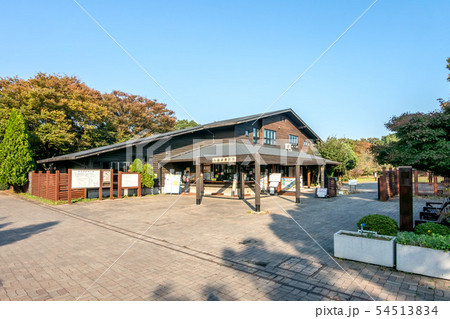 東京都大田区の東京都立東京港野鳥公園 54513834