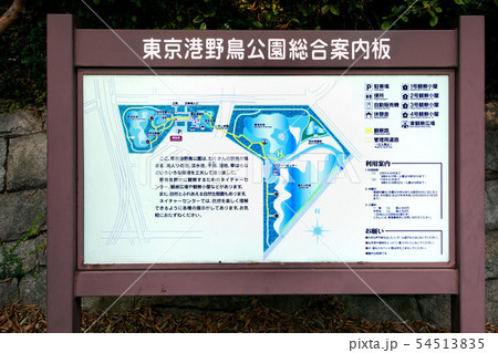 東京都立東京港野鳥公園 54513835
