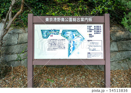 東京都立東京港野鳥公園 54513836