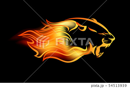 roaring big cat among fire flames vector 54513939