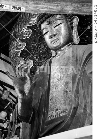 正法寺、金鳳山、岐阜県重要文化財、薬師如来坐像 54514051