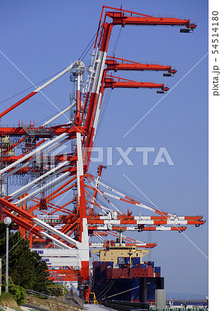 青海コンテナ埠頭のガントリークレーンとコンテナ船 54514180