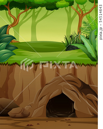 Background Scene With Underground Cave In Jungleのイラスト素材
