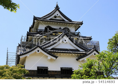 彦根城　国宝彦根城　名城　金亀城　改装中の天守　本丸 54514693