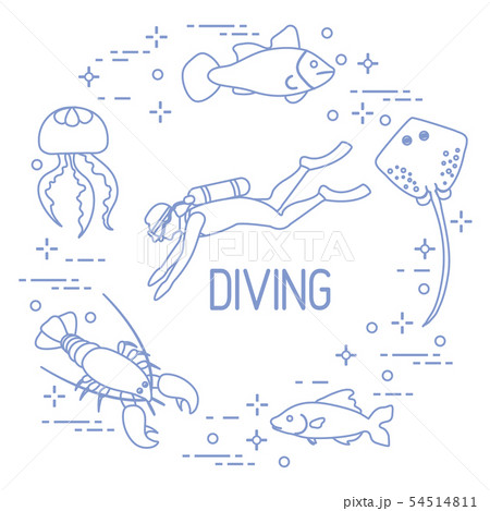 Diver, jellyfish, lobster, stingray, fish 54514811