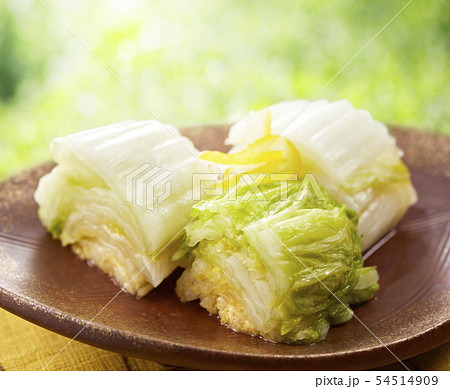 白菜の浅漬け (pickled napa cabbage) 54514909
