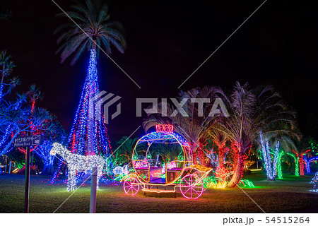 沖縄 冬の東南植物楽園 イルミネーション クリスマスツリーと光の馬車の写真素材