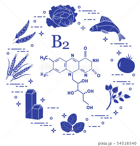 Foods rich in vitamin B2 Fish, peas and other. 54516540