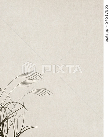 背景 和 和風 和柄 和紙 ススキ 秋のイラスト素材