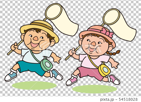 昆虫採集 昆虫採集 54518028