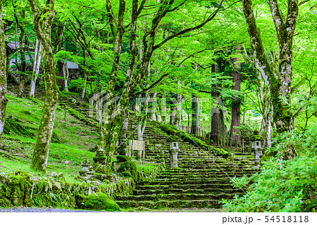 兵庫県・高源寺 54518118