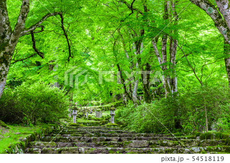 兵庫県・高源寺 54518119