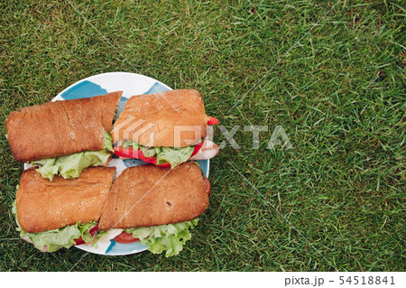 Close-up big plate with appetizing fresh sandwich 54518841