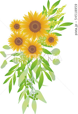 ブーケ 装花 イラスト ひまわり Sunflowerのイラスト素材