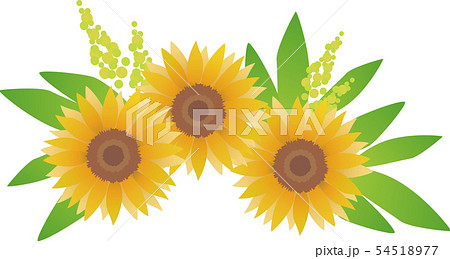 装花 イラスト ひまわり Sunflowerのイラスト素材