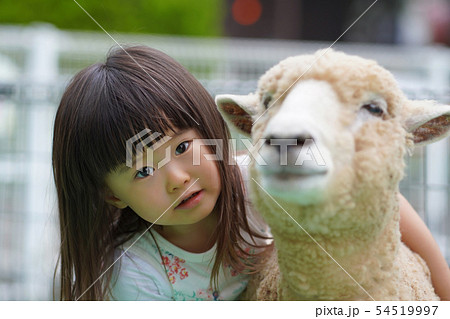 ひつじと3歳の女の子 ひつじとツーショット ひつじと3歳の女の子 ひつじとツーショット 54519997