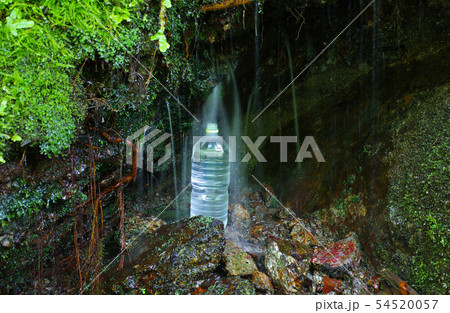 ブナの森の天然水 ブナの森の天然水 54520057