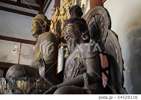 喜光寺 喜光寺 54520116