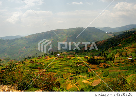 ルワンダの絶景 ルワンダの絶景 54520226