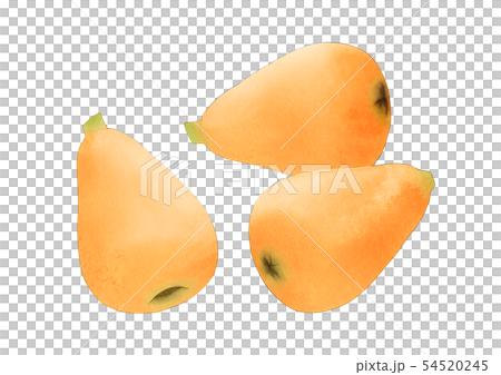 びわ 54520245