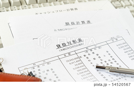 貸借対照表　損益計算書　キャッシュフロー計算書　収支報告　財務諸表 54520567