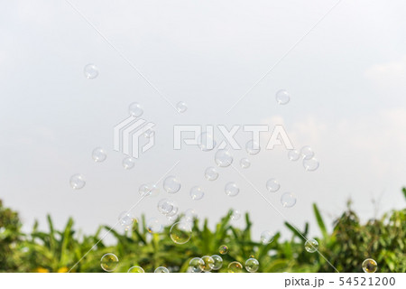 Soap bubbles in the air with natural background 54521200