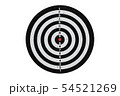 Dart board on white background 54521269