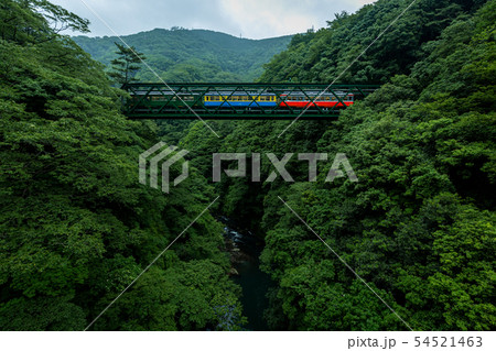 箱根登山鉄道(出山の鉄橋) 54521463