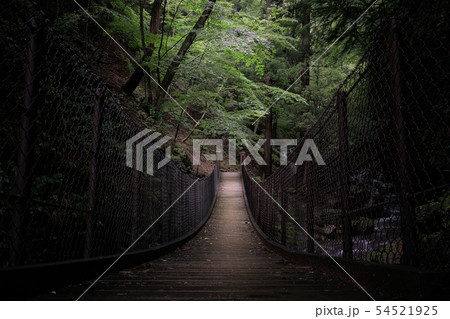 竜化の滝　竜化の橋 54521925