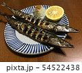 秋刀魚 54522438