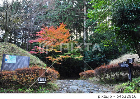 箱根の町並み　箱根旧街道畑宿一里塚 54522916