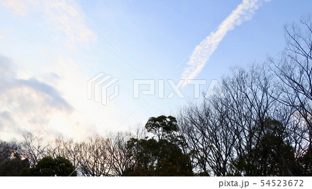 秋空 冬空 空 木々 雲 秋空 冬空 空 木々 雲 54523672