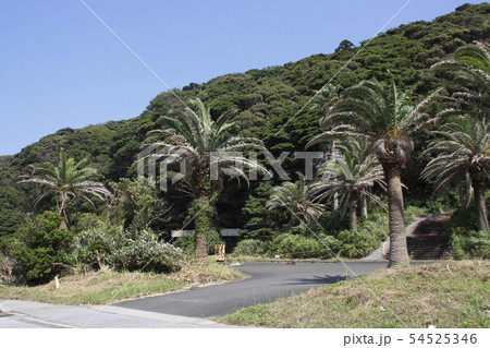 旧行川アイランド跡地にて（千葉県勝浦市） 54525346