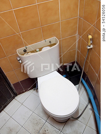 toilet toilet 54526056