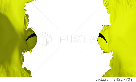 Blasted Warning Hazard Radiation flag 54527708