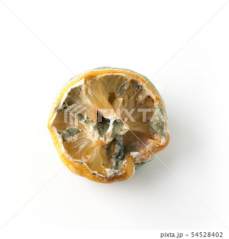 Ugly lemon with mold on white background. 54528402