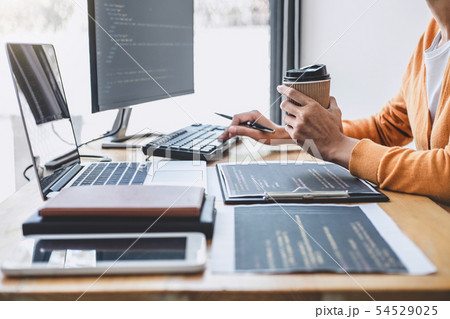 Young Professional programmer working at Young Professional programmer working at 54529025