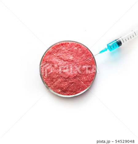 Laboratory studies of minced meat in Petri dish. Laboratory studies of minced meat in Petri dish. 54529048