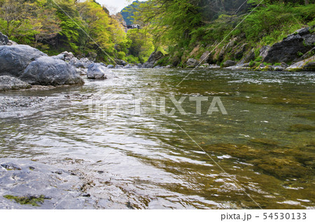 新緑の御岳渓谷 新緑の御岳渓谷 54530133