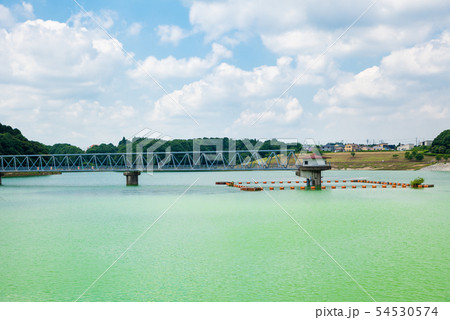 東金ダム ときがね湖 (千葉県東金市) ※2019年6月撮影 東金ダム ときがね湖 (千葉県東金市) ※2019年6月撮影 54530574