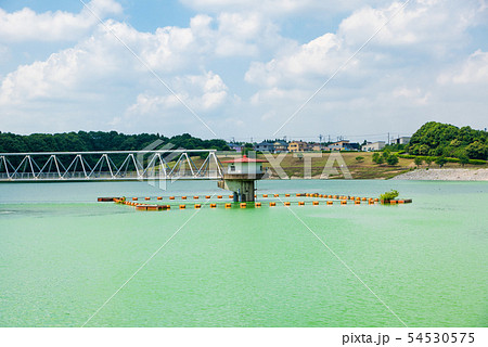 東金ダム ときがね湖 （千葉県東金市） ※2019年6月撮影 54530575