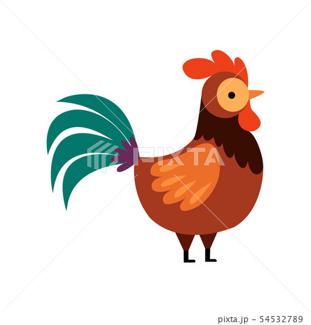 Rooster with Bright Plumage, Farm Cock, Side View, Poultry Farming Vector Illustration 54532789