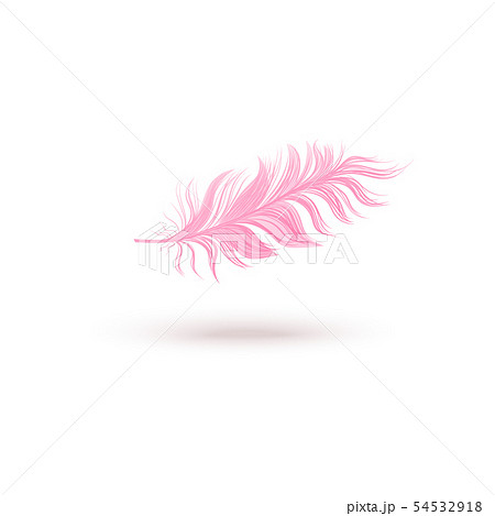 Pink floating bird feather isolated on white background 54532918
