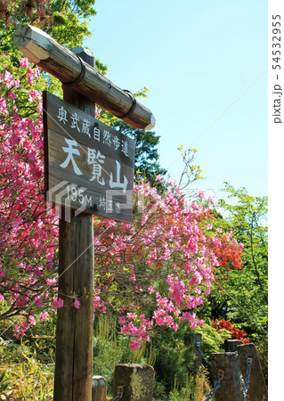 春のハイキング 春のハイキング 54532955