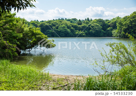 雄蛇ヶ池 おじゃがいけ 初夏の新緑風景 （千葉県東金市） 2019年6月撮影 54533230