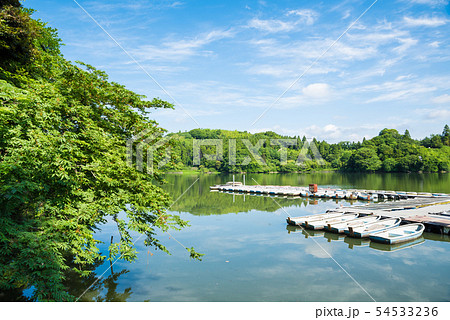 雄蛇ヶ池 おじゃがいけ （千葉県東金市） 2019年6月撮影 54533236